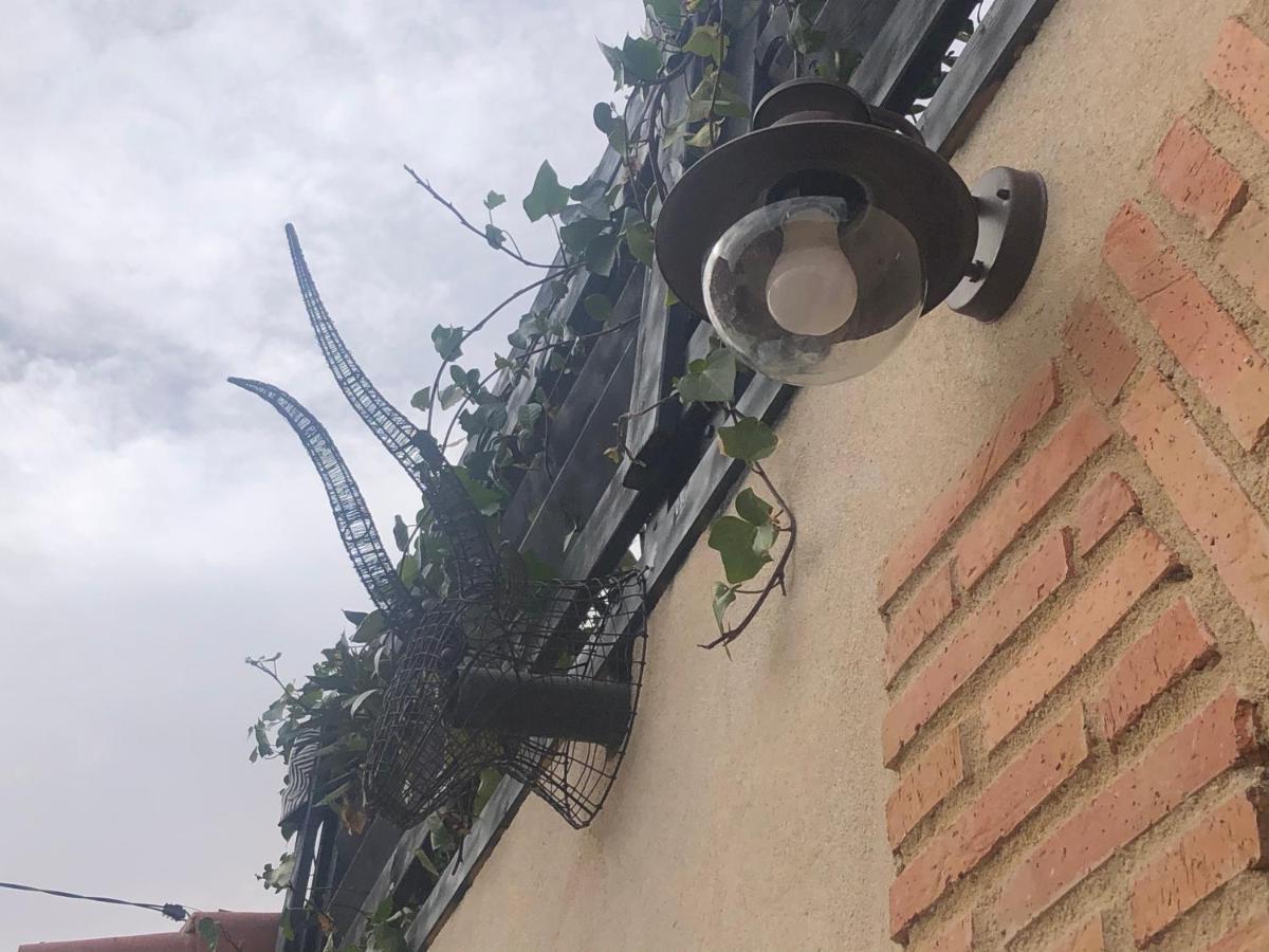 Casa Rural Atelier - Jardin Y Terraza Velliza Zewnętrze zdjęcie