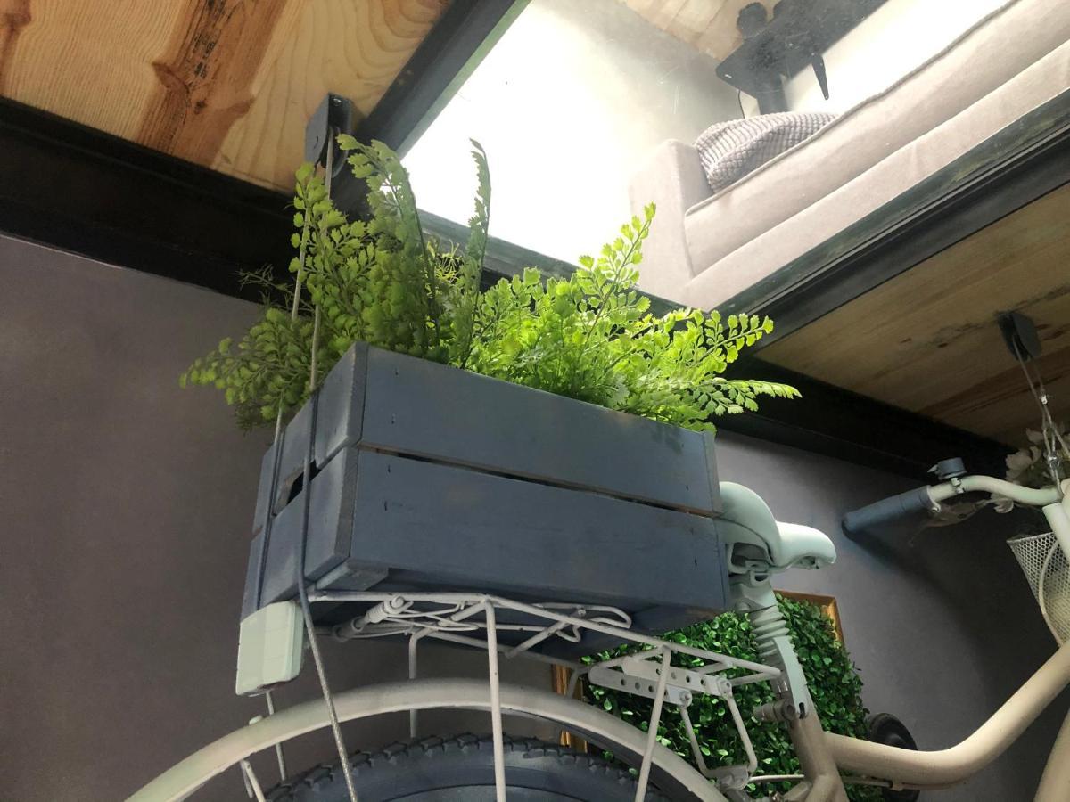 Casa Rural Atelier - Jardin Y Terraza Velliza Zewnętrze zdjęcie