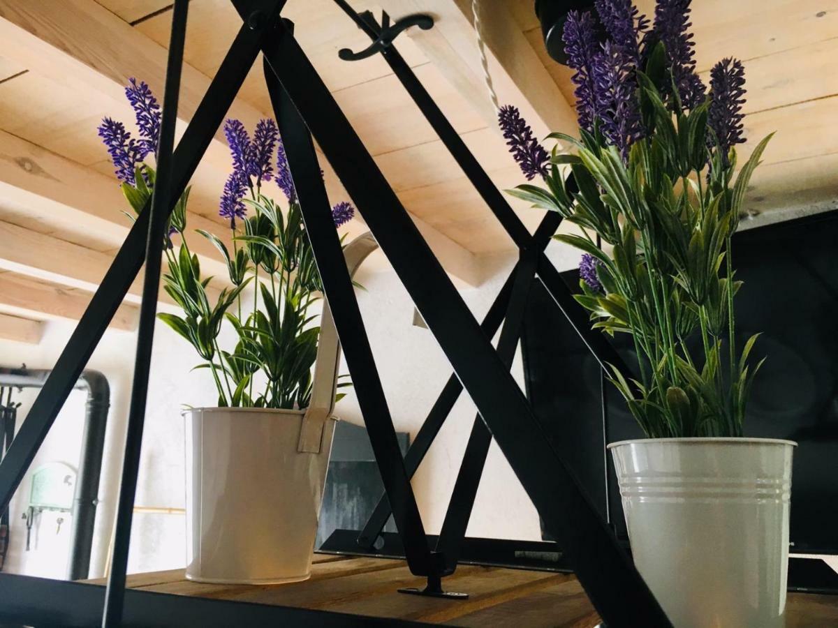 Casa Rural Atelier - Jardin Y Terraza Velliza Zewnętrze zdjęcie